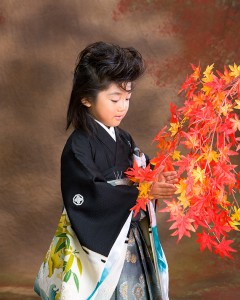 『勇ましい姿』と『しっとりとやさしい姿』と違っためんを発見